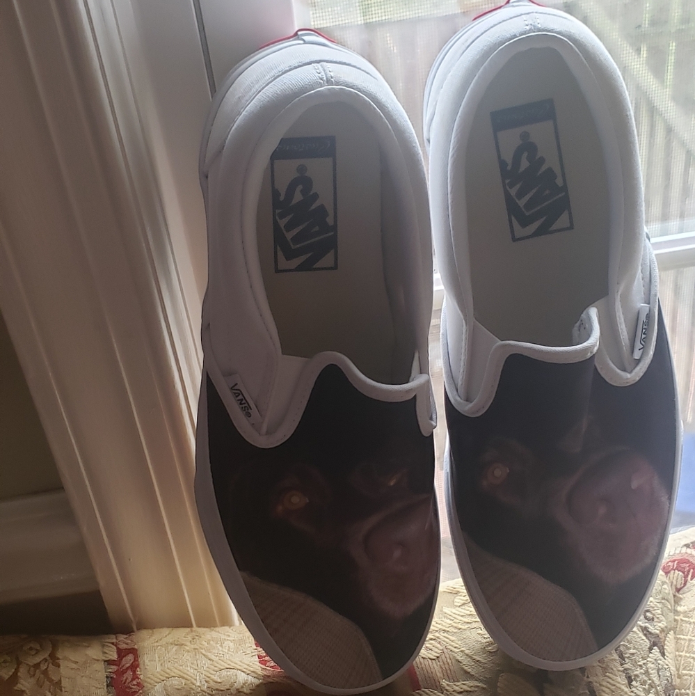 Van's shoes